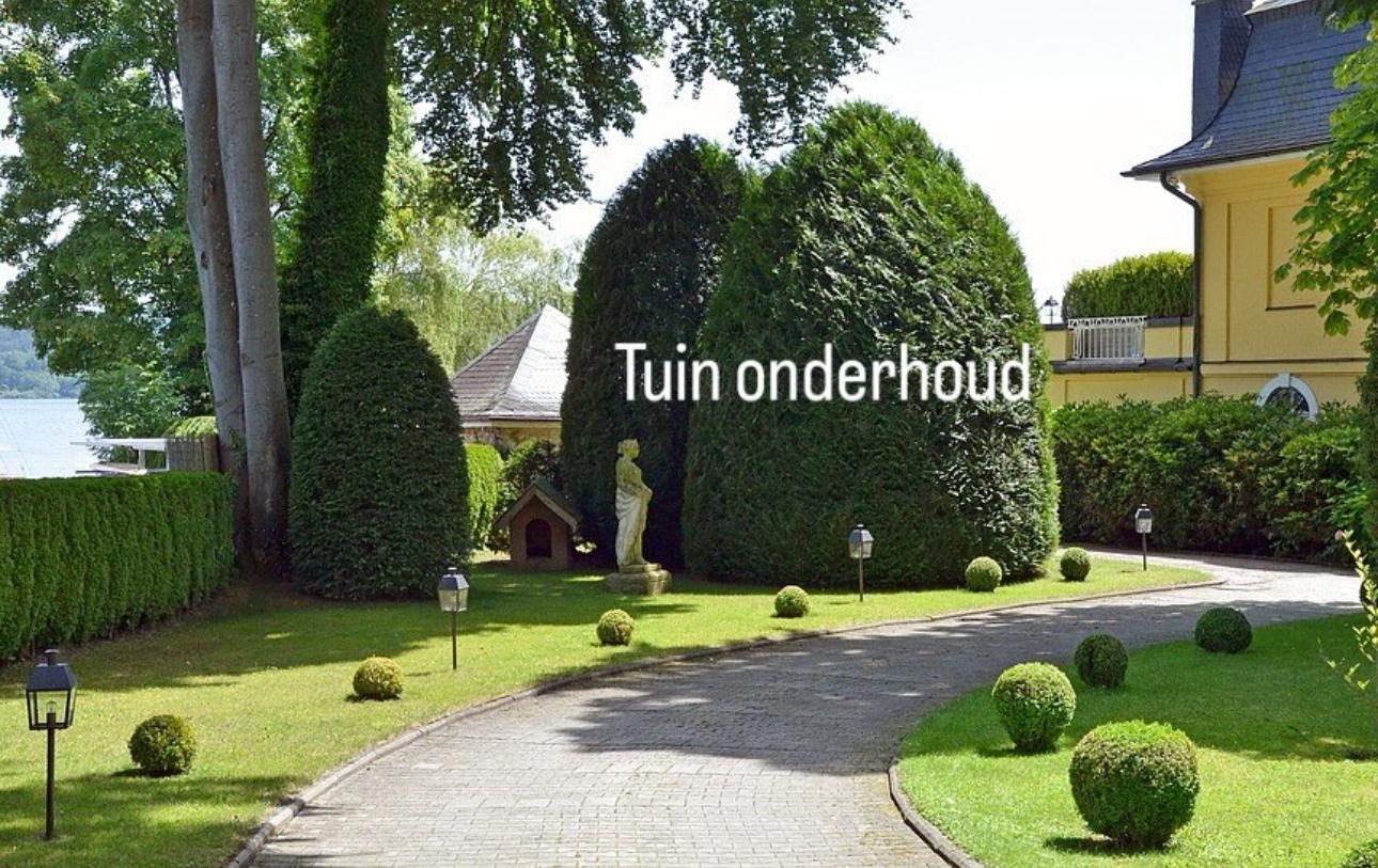 Groenvoorziening